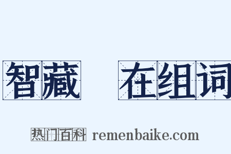 智藏瘝在组词是什么意思的图片